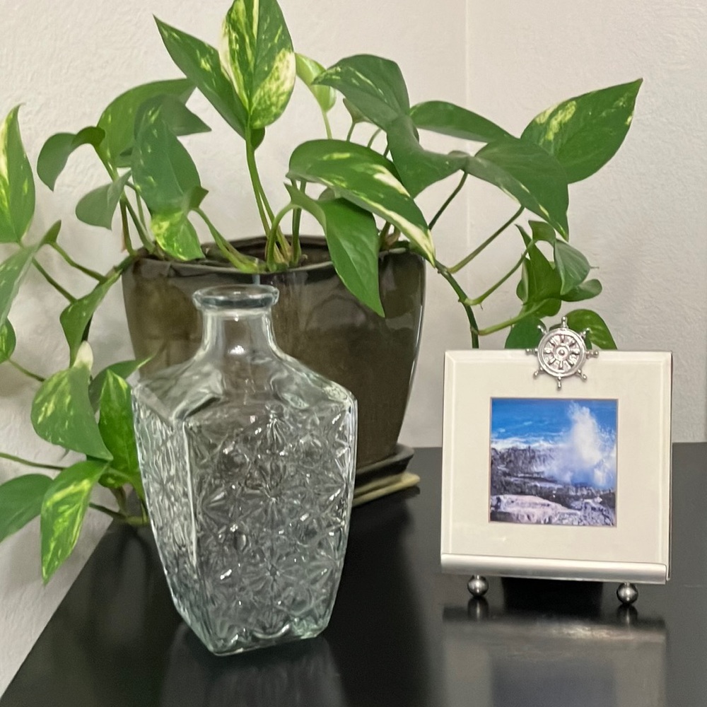 Glass Canister Vase